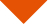 02_435394-1_icon_arrow-down_orange_opt1.jpg